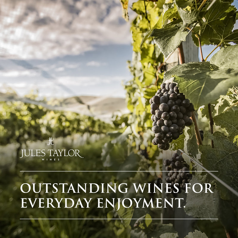Marlborough: Home to NZ's Signature Wine - Sauvignon Blanc